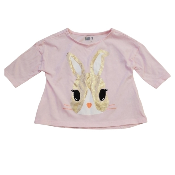 Crazy 8 Sweatshirt Rabbit Print Toddler 18-24M Pale‎ Pink Top Easter - Picture 1 of 7